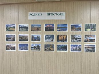 В Культурно-досуговом центре Токаревского МО проходит фотовыставка «Родные просторы», посвященная празднованию Дня России.